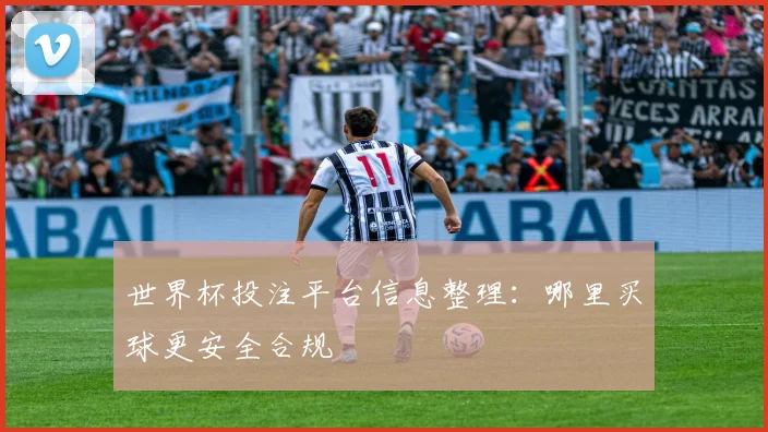 世界杯投注平台信息整理：哪里买球更安全合规