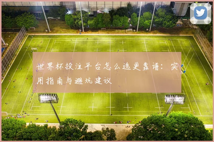 世界杯投注平台怎么选更靠谱:实用指南与避坑建议