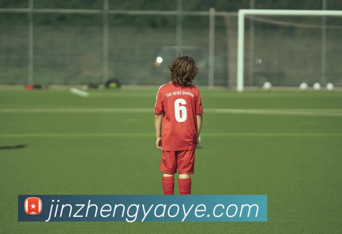 hth在线登录入口平台生态图